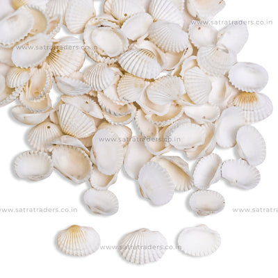 Plastic Cowri Shells | 100g