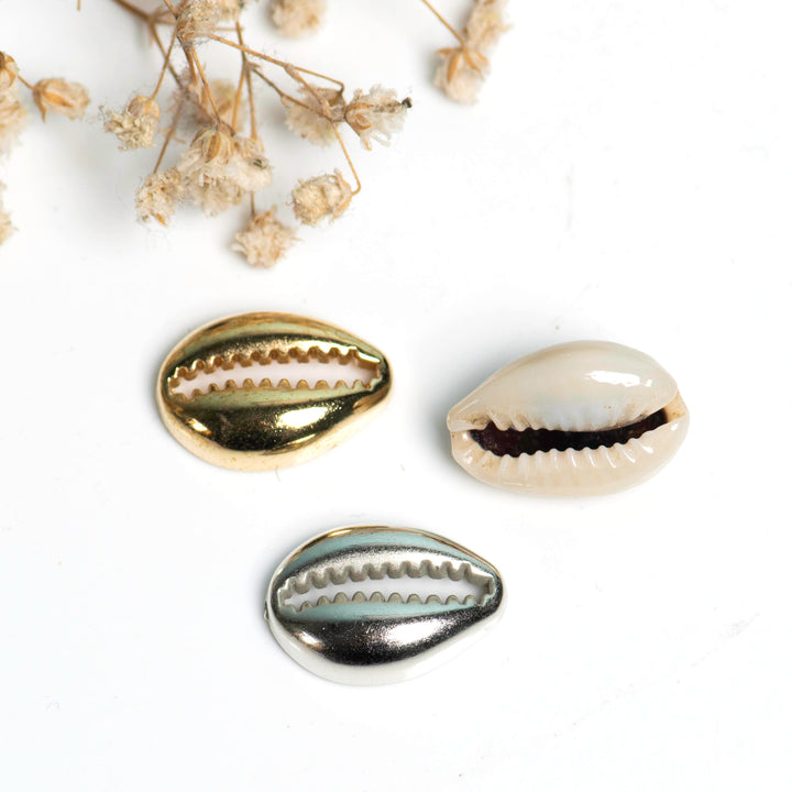 Cowri Shells | Size : 14mm |100g